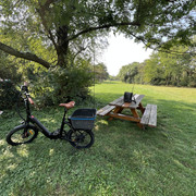 IMG-0272