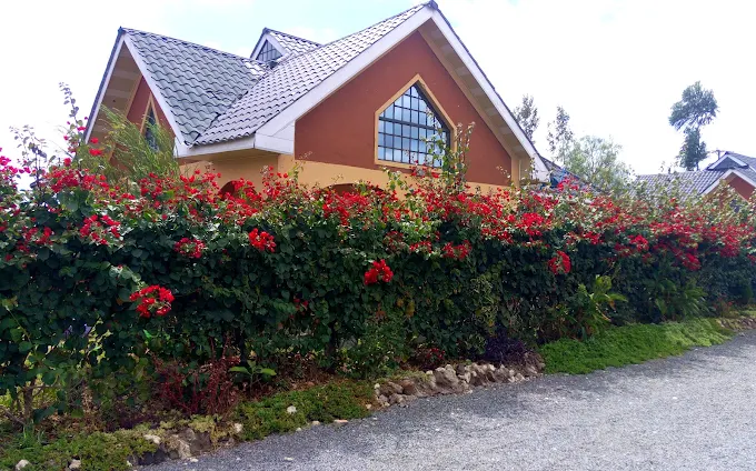 Milimani Homes Estate in Nairobi