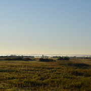 DSC 0908
