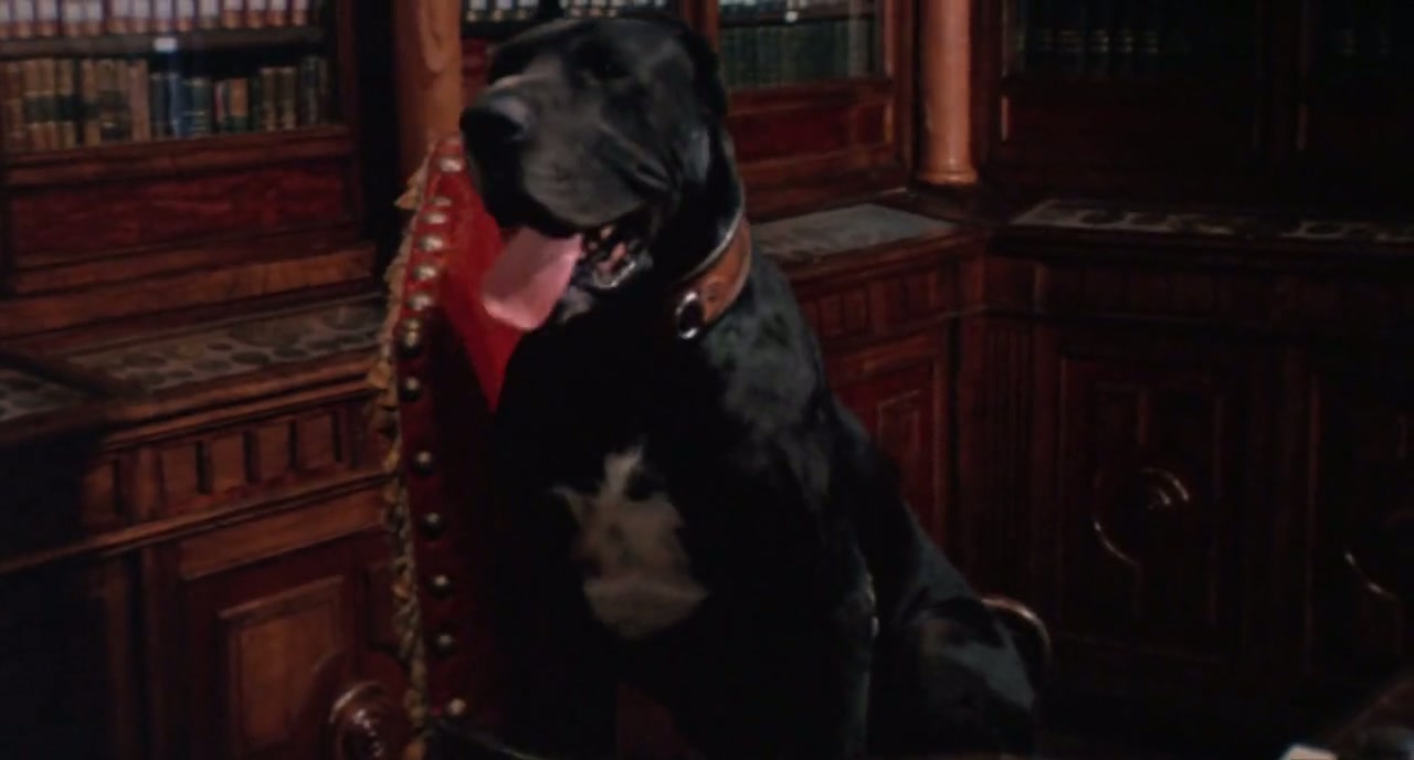 Zorro Screenshot