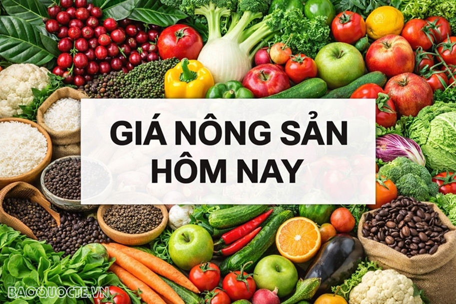 Ảnh minh họa 4