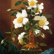 White-Cherokee-Roses-in-a-Salamander-Vase
