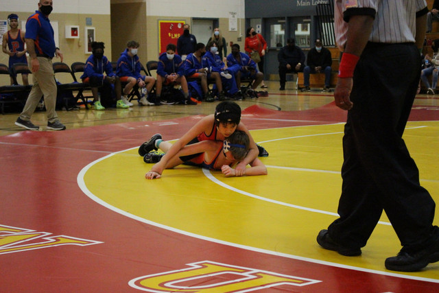 IMG-0179