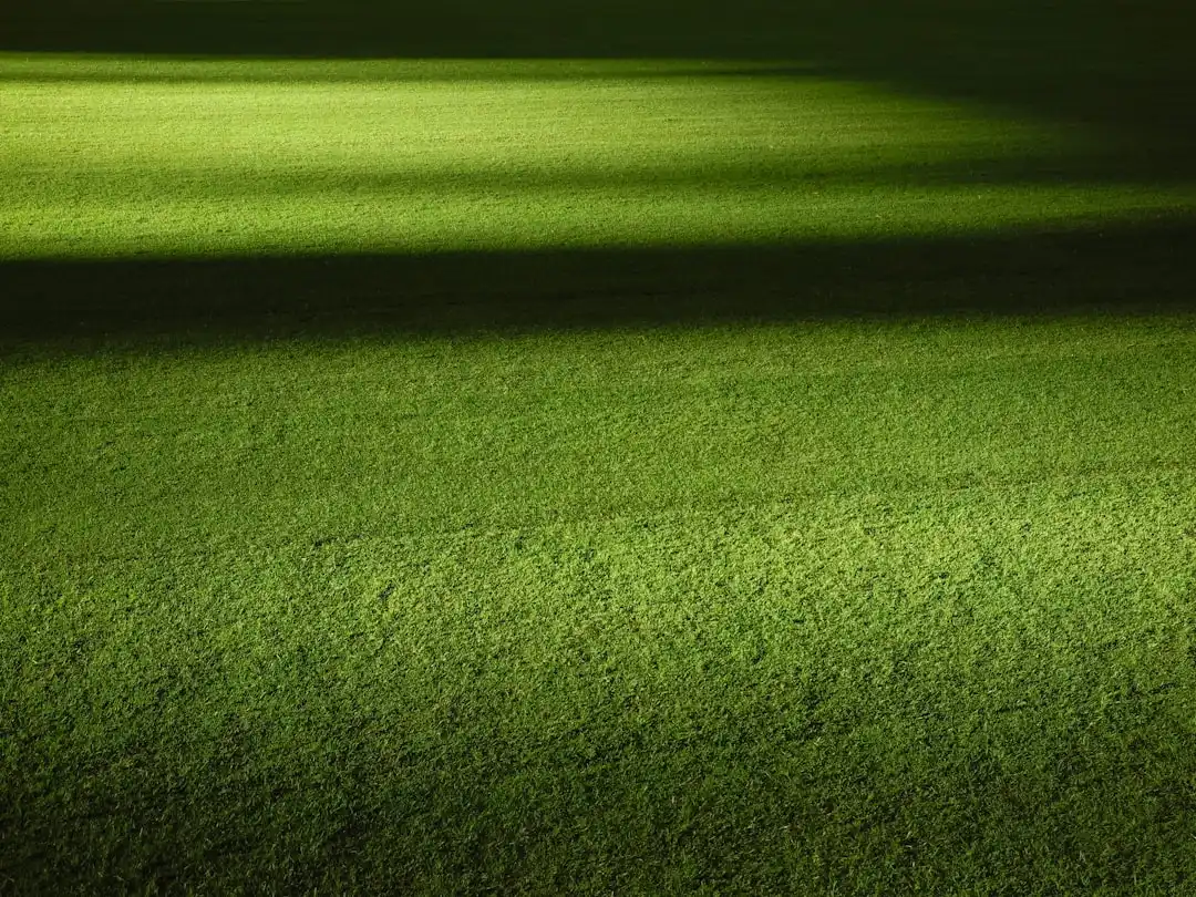 Lumină verde pentru 3.250 de locuințe noi în New York