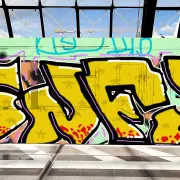 Graffiti artwork by infu