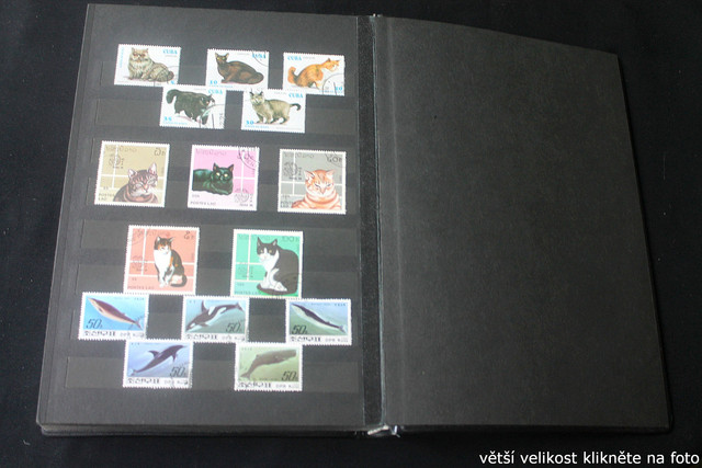 IMG-2274.jpg