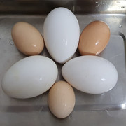 20230612-203001