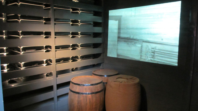 IMG-3670