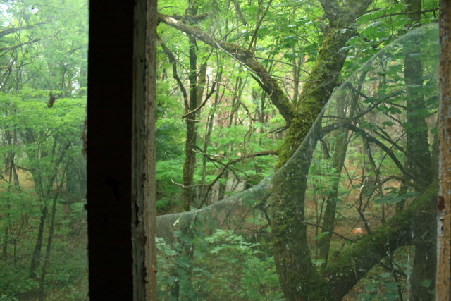 IMG-5955.jpg