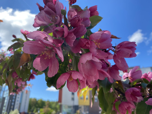 0-EAA4-E3-C-CED4-4-F60-A460-B6834-AA4-C5