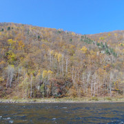 DSC04252