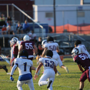 IMG-5294
