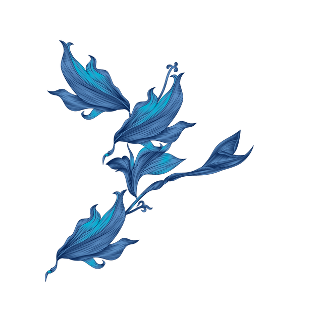 f0c2b4b70d3468e3831f2795a68ae59f.png