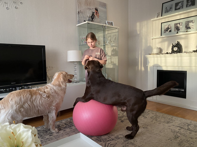 E56-B7503-88-A3-4-F66-8284-6-DE3234-ED6-