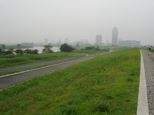 2010-07-01-074