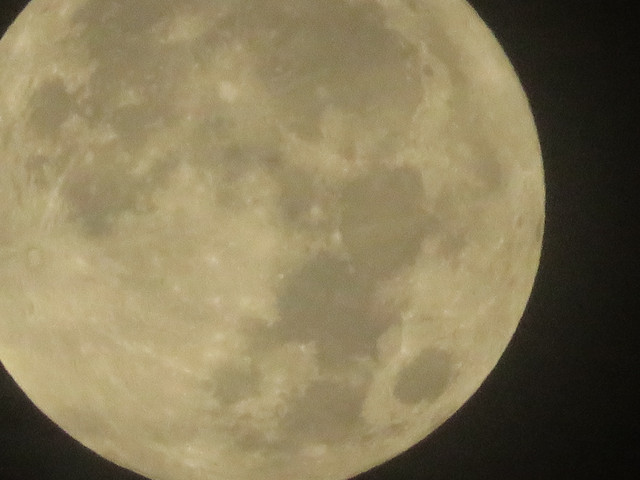 moon-018.jpg