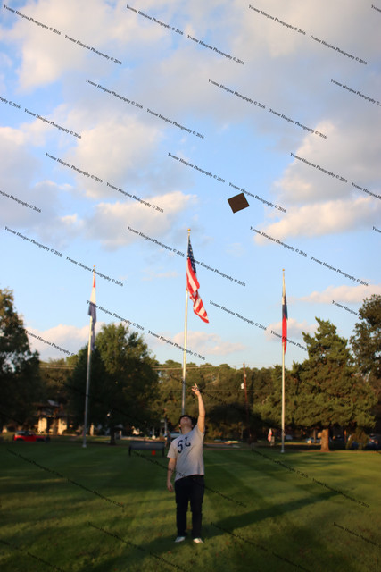 IMG-0353