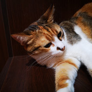 IMG-20210901-045508
