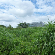 P1320418