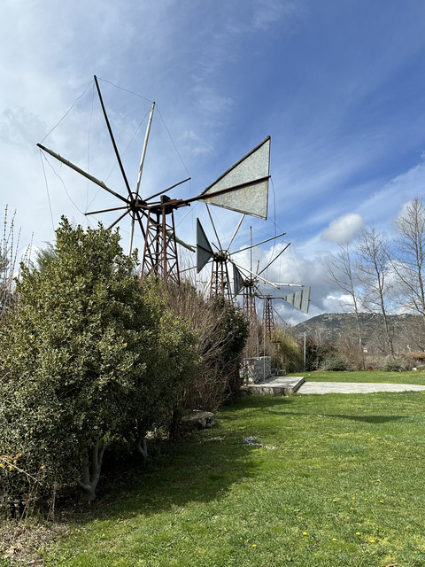 IMG-0113