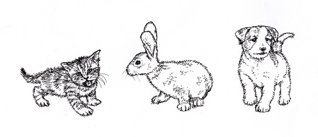 tiny animals