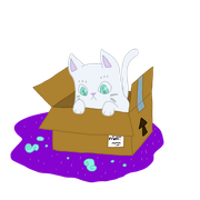 kitty-package