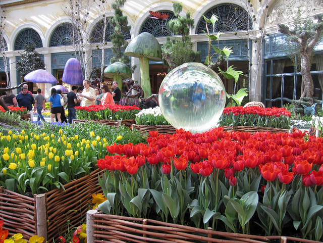 79800031-All-sizes-Spring-at-the-Bellagio-Flickr-Photo-Sharing