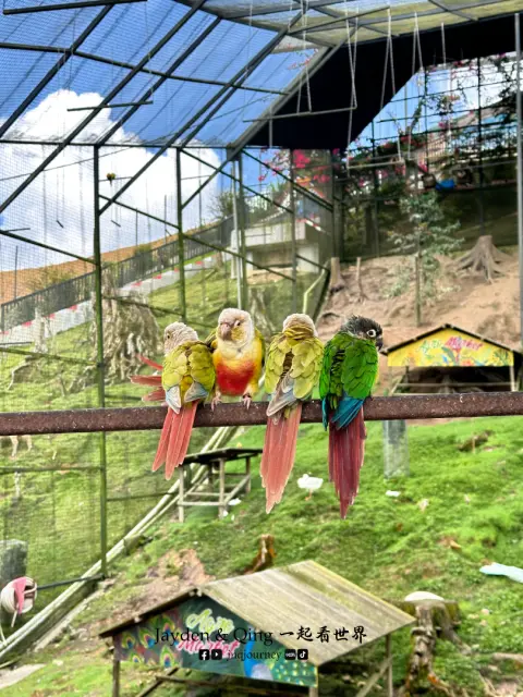 Agro Market23.webp