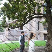 IMG 4248