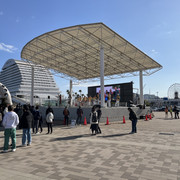 IMG-3051