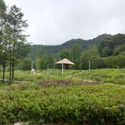 IMG20200708125720