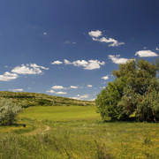 10a004871m