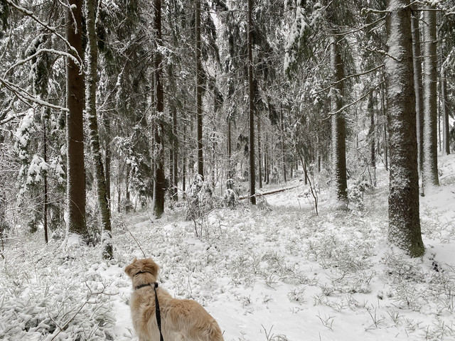 39-DAF351-C7-E9-4011-BB11-67-ED813-E6-D8