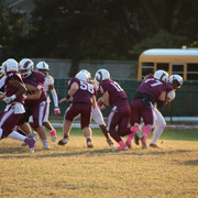 IMG-1295