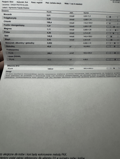 IMG-3737