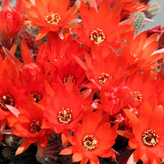 IMG-8225