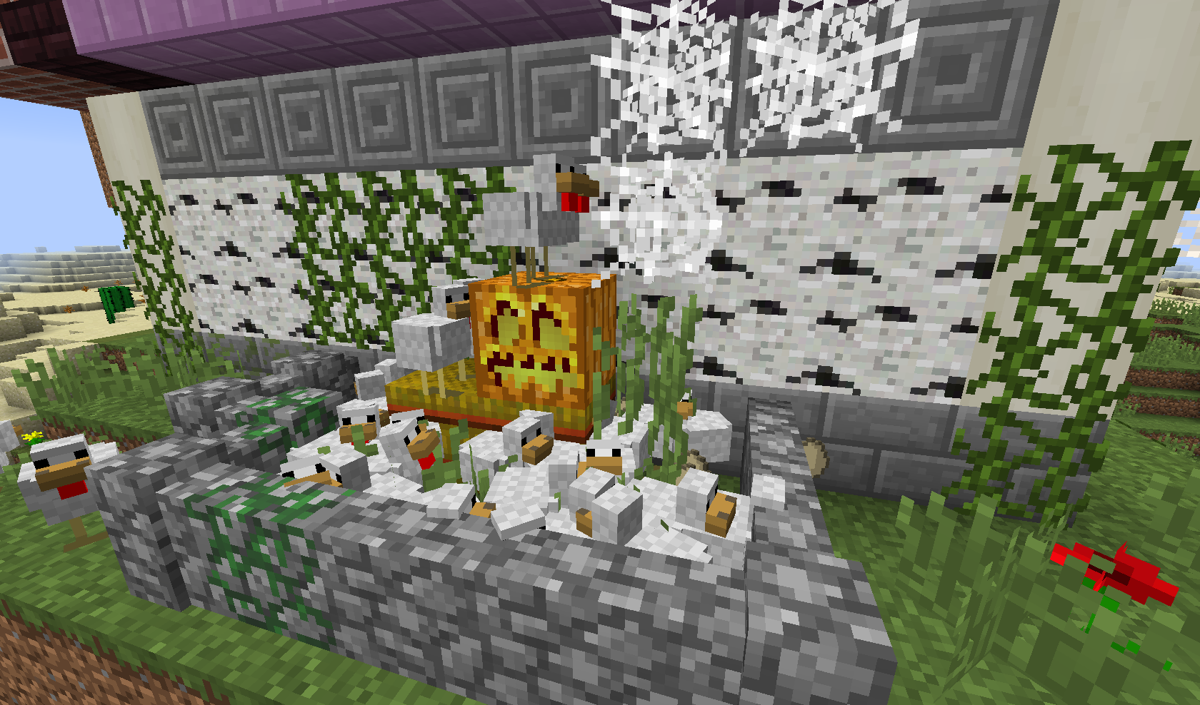 chickens!