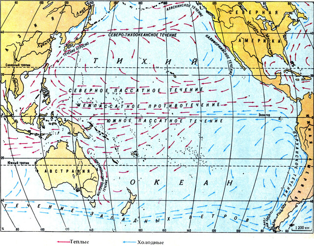 map005