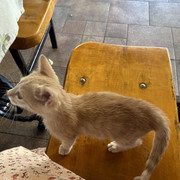 IMG-1653