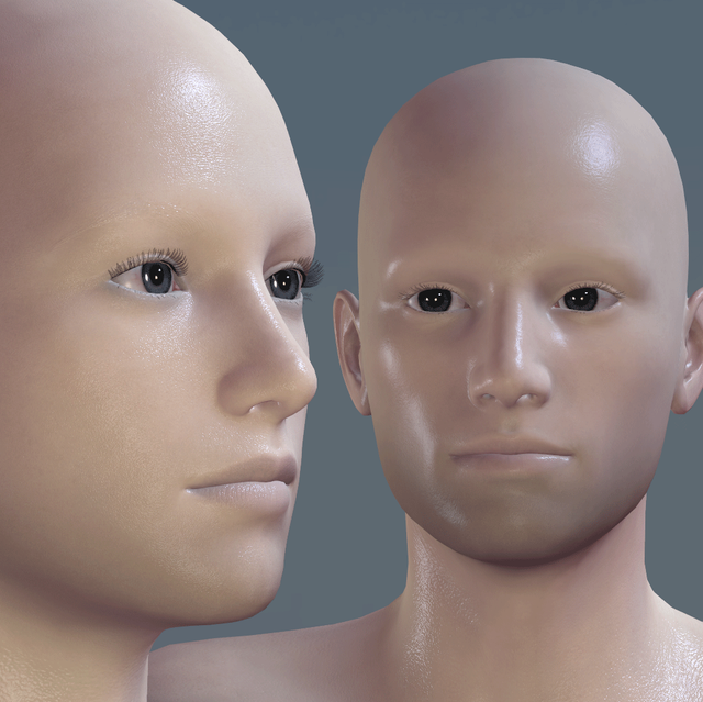 preview-d-beard-04.png