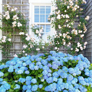 Nantucket-Massachusett