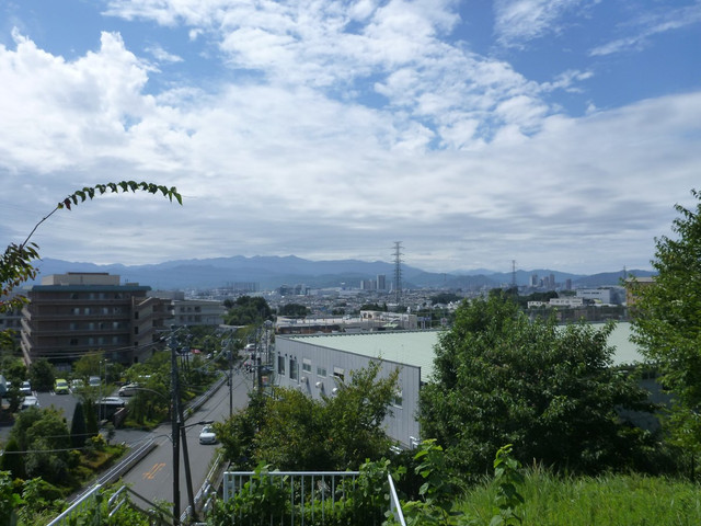 P1350294