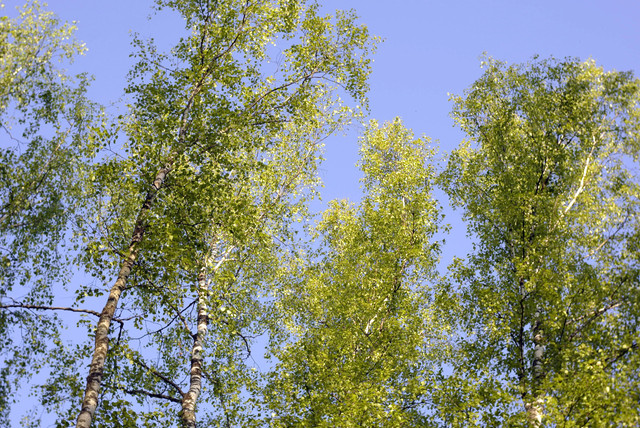 DSC3542.jpg