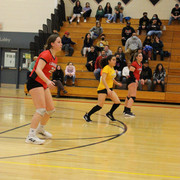 IMG-0310