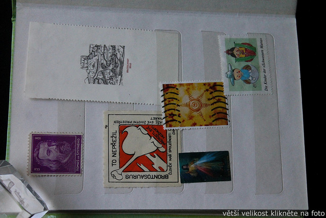 IMG-6824.jpg