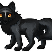Wolvden-Adopt-Ahasow-small