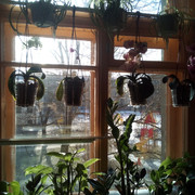 IMG-20220401-085820