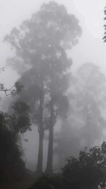 20181013-160749.jpg