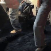 IMG 8261.gif