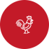 Kipvlees kopen bij de boer uit jou buurt, gemeente of provincie - Boeren houden van kippen - www.Vleekopenbijdeboer.nl